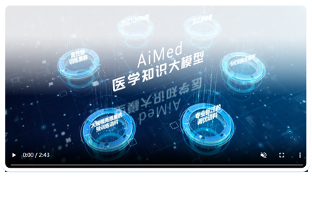 基于大模型的文献解读和问答